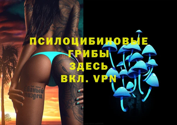 скорость Белокуриха