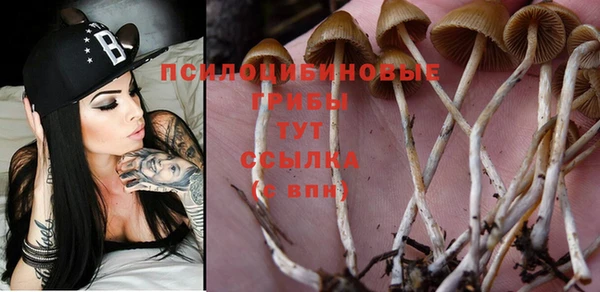 марки nbome Белоозёрский
